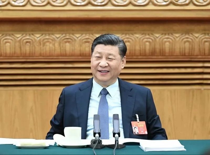 2019年3月8日，習(xí)近平參加十三屆全國人大二次會議河南代表團的審議。新華社記者 謝環(huán)馳 攝