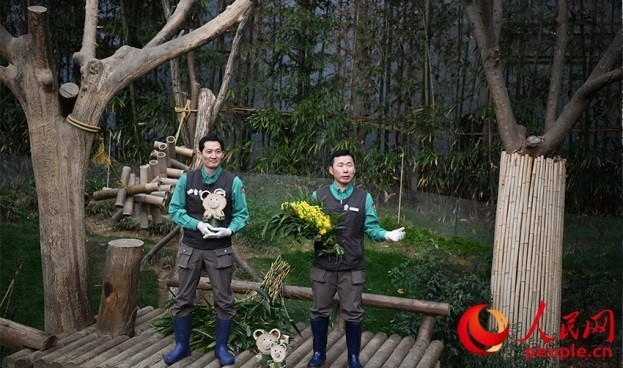 熊貓飼養(yǎng)員姜哲遠(yuǎn)和宋永寬向媒體介紹為“福寶”準(zhǔn)備的送別禮物。人民網(wǎng) 李帆攝