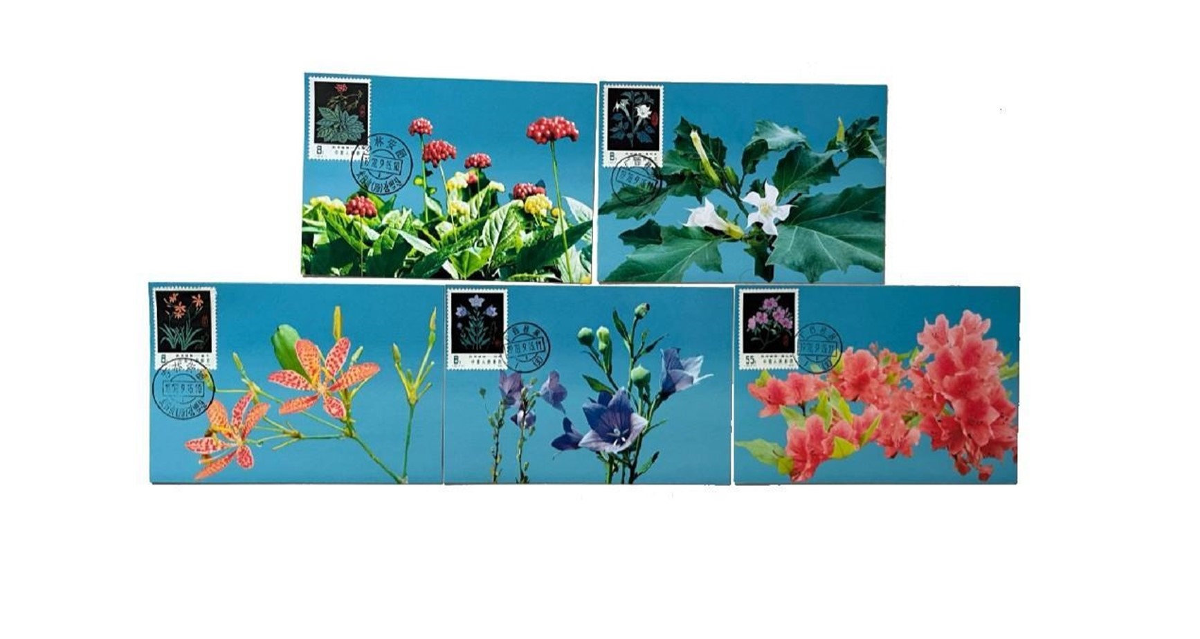 首套藥用植物極限片。第七屆阿聯(lián)酋集郵展主辦方供圖