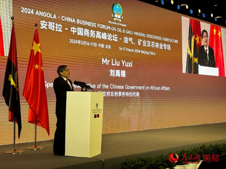 中國政府非洲事務特別代表劉禹錫。人民網(wǎng)記者 張榮攝
