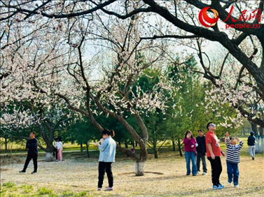 游客在北京長(zhǎng)陽公園賞花。人民網(wǎng)記者 劉微攝
