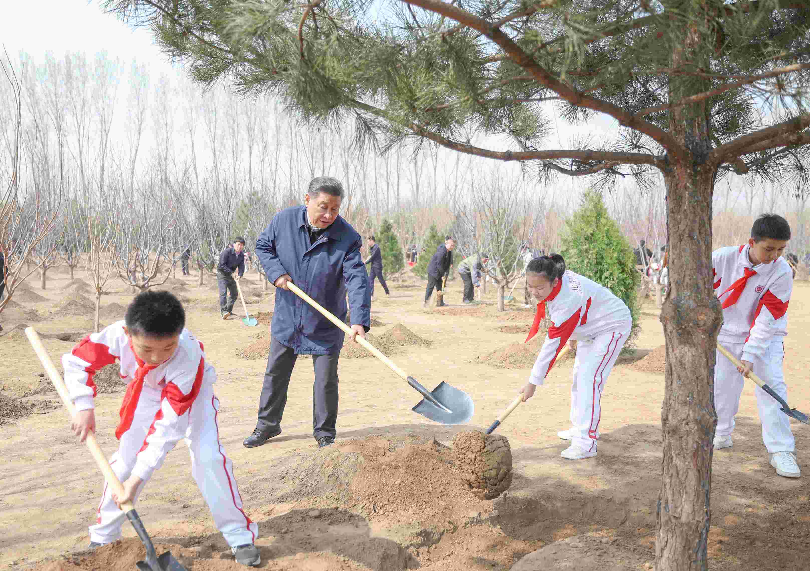 2024年4月3日，習近平總書記來到北京市通州區(qū)潞城鎮(zhèn)參加首都義務植樹活動。