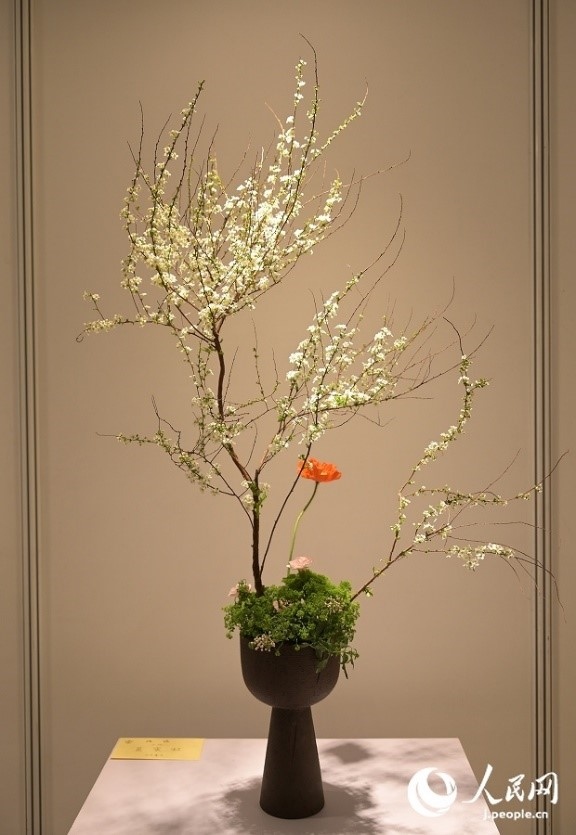 插花作品。人民網(wǎng) 玄番登史江攝