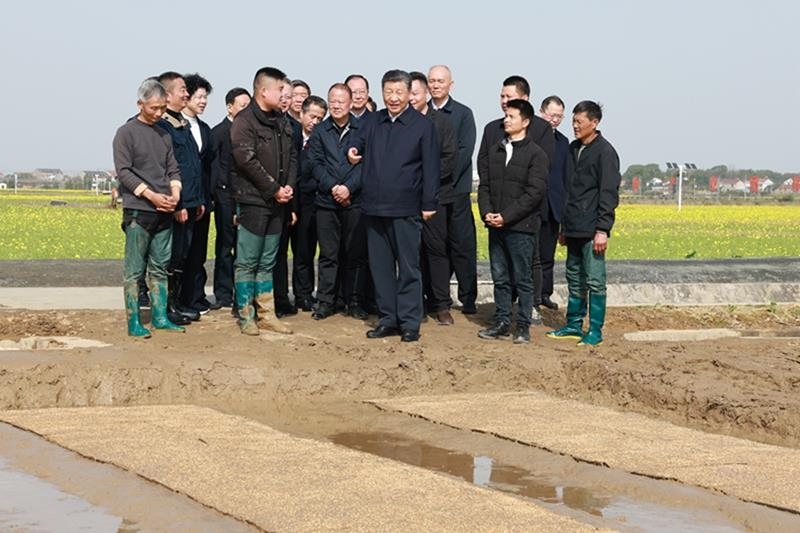 △2024年3月19日，在湖南常德市鼎城區(qū)謝家鋪鎮(zhèn)港中坪村，習(xí)近平總書記走進(jìn)田間，察看秧苗培育和春耕備耕進(jìn)展。