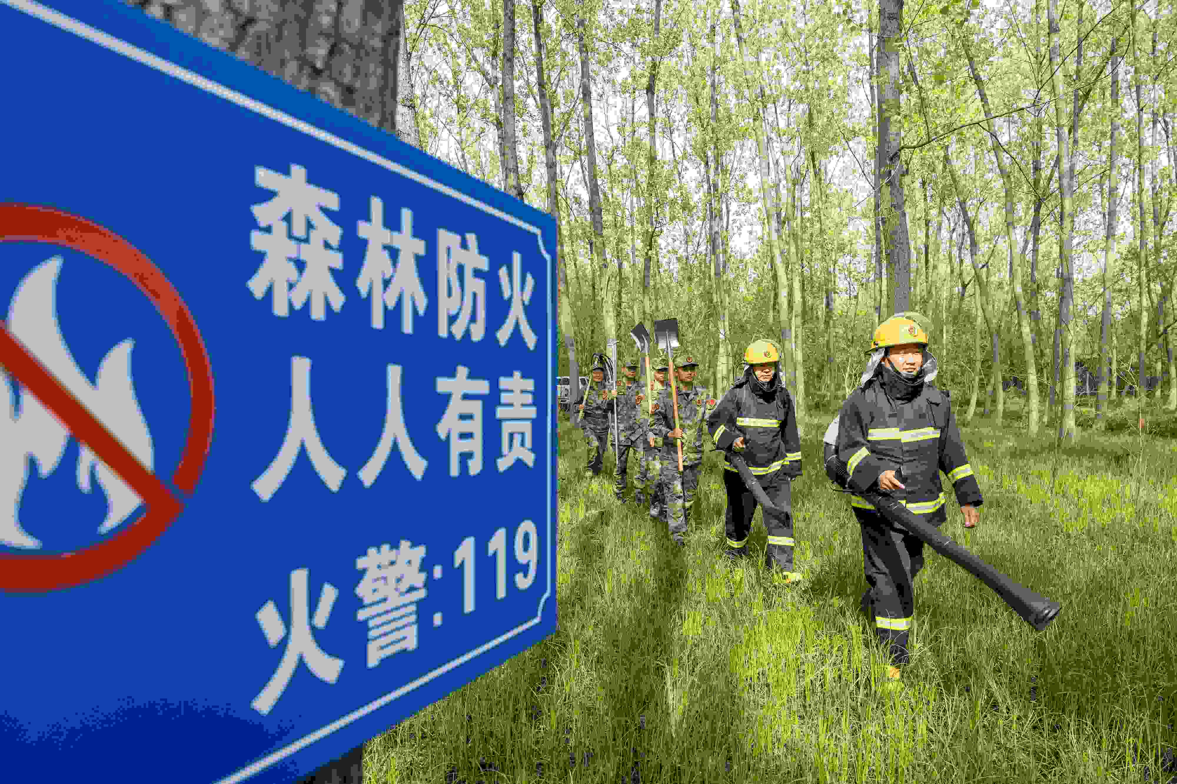 2024年4月9日，合肥市大房郢水庫(kù)水源保護(hù)地廬陽(yáng)經(jīng)濟(jì)開發(fā)區(qū)段，基干民兵正在林間巡查火災(zāi)隱患。