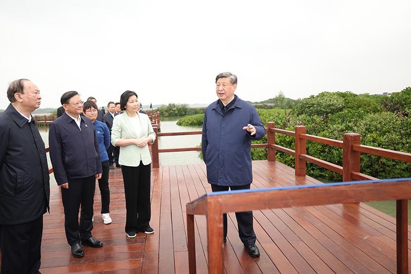△2023年4月10日，習(xí)近平總書記在廣東湛江市麻章區(qū)湖光鎮(zhèn)金牛島紅樹林片區(qū)考察。