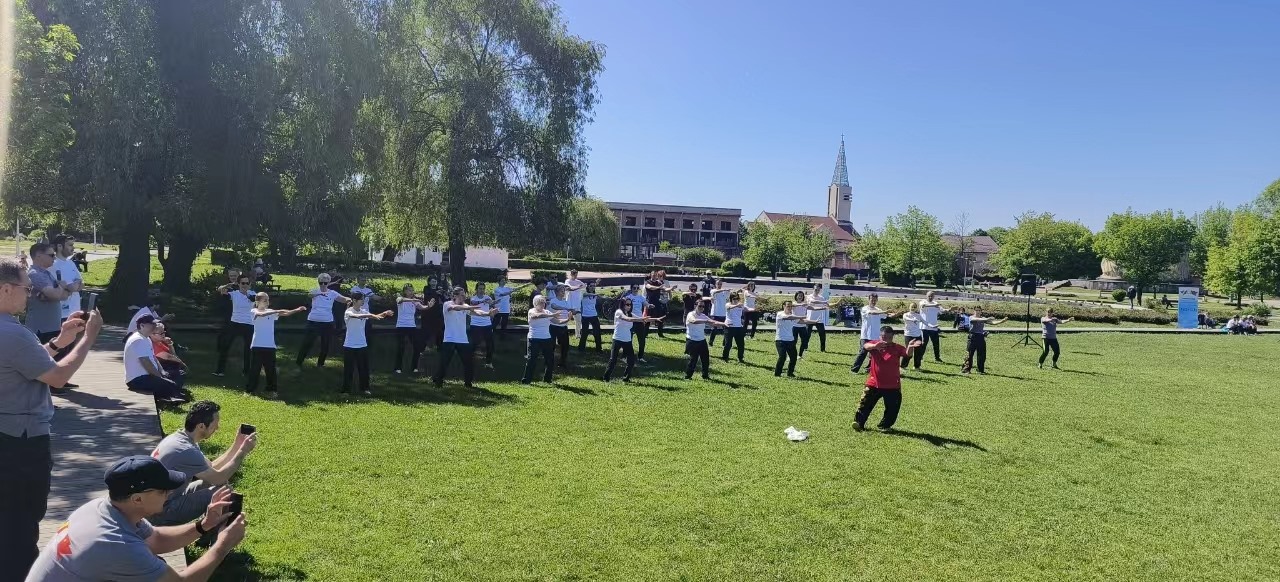 北京體育大學教授武冬做太極拳進階教學。布加勒斯特中國文化中心供圖
