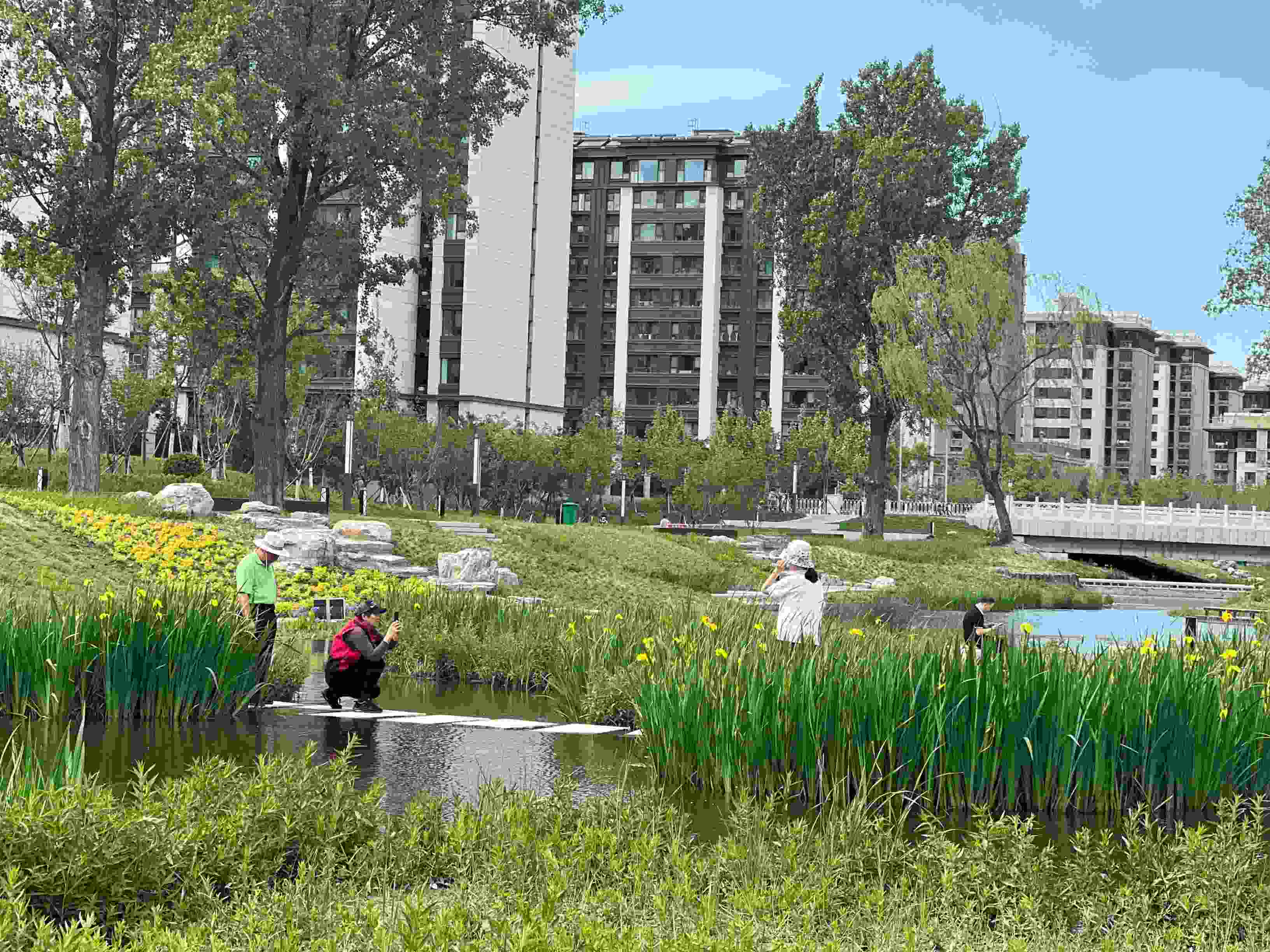 五一渠生態(tài)濱河公園內(nèi)，市民正在拍照留念。人民網(wǎng) 歐陽易佳攝