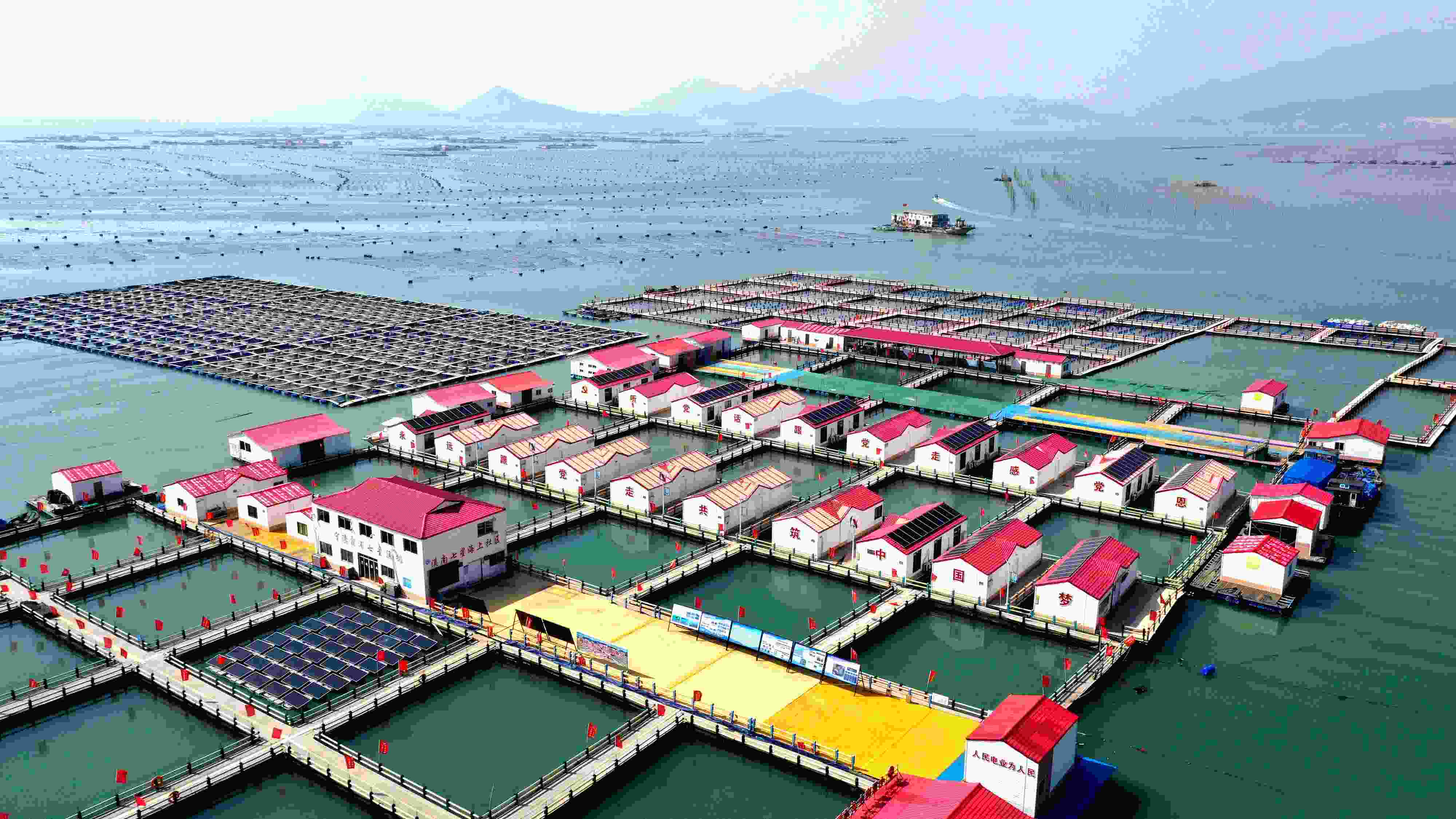 2024年3月20日，福建省寧德市，霞浦縣溪南鎮(zhèn)七星村漁排養(yǎng)殖示范區(qū)，漁民駕駛養(yǎng)殖船進行海參養(yǎng)殖作業(yè)。