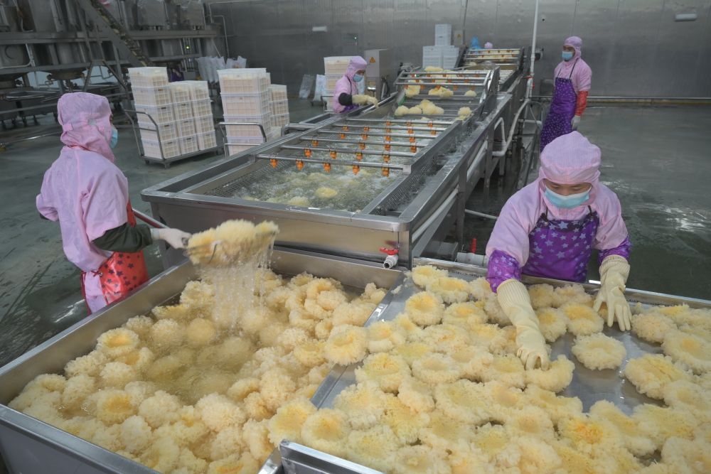 2024年5月10日，在福建省寧德市古田縣，一家食品公司的工作人員在挑選清洗銀耳。新華社記者 林善傳 攝