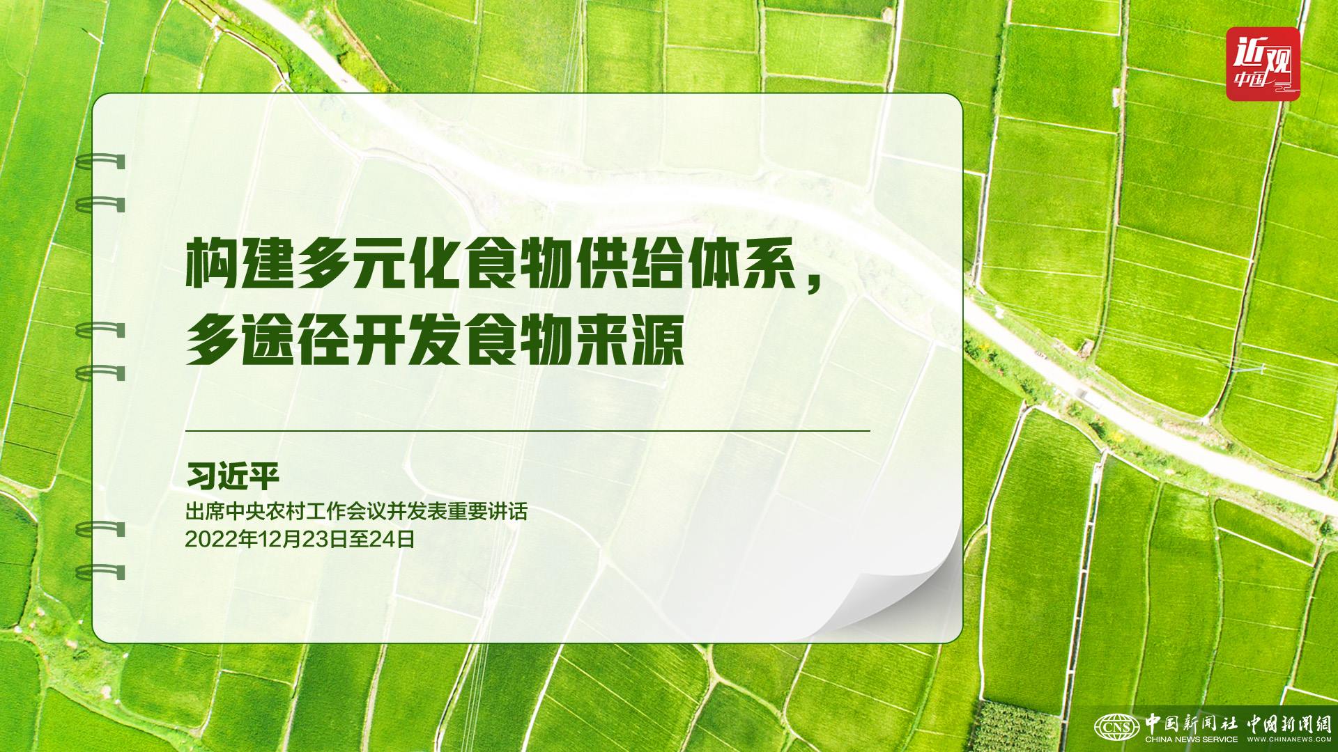 習近平：樹立大食物觀，構建多元化食物供給體系