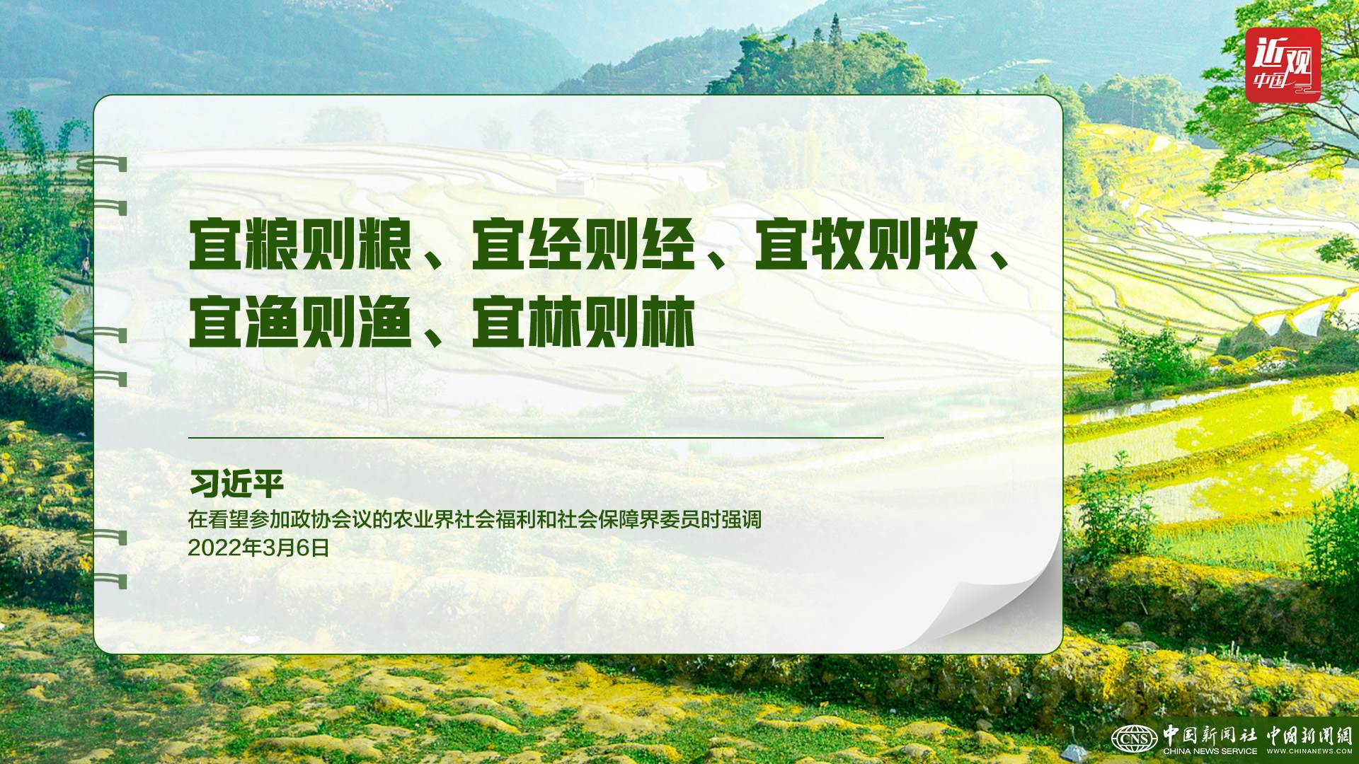 習近平：樹立大食物觀，構建多元化食物供給體系