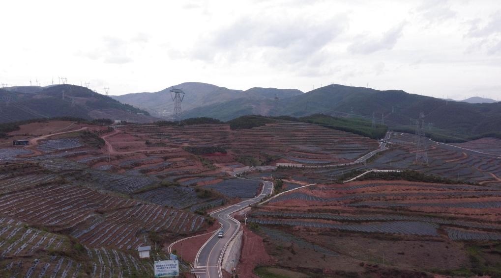 火普村的藍(lán)莓基地一角（無(wú)人機(jī)照片）。新華社記者 尹恒 攝