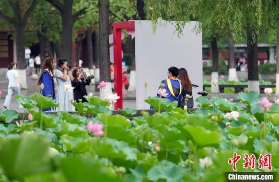 6月19日，時值一年畢業(yè)季，四川大學(xué)望江校區(qū)荷花池里的荷花盛開，成為了畢業(yè)生們的打卡圣地，吸引了眾多畢業(yè)生拍照留念。圖為畢業(yè)生在荷花池邊拍照留念。中新社記者 安源 攝