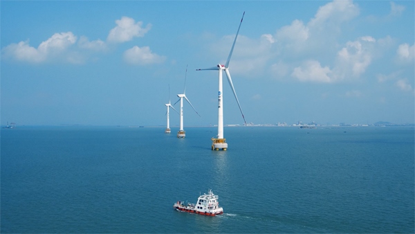 福建興化灣海上風(fēng)電場。受訪者供圖