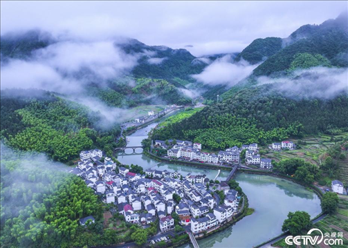2024年6月19日，浙江省杭州市淳安縣楓樹嶺鎮(zhèn)下姜村，雨后云霧繚繞。