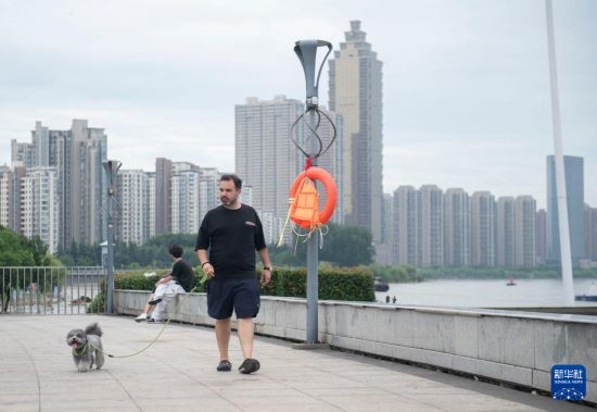 7月20日，在安徽蕪湖市，馬丁在長(zhǎng)江邊遛狗。新華社記者 傅天 攝