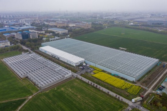 2024年3月28日，空中俯瞰嘉興南湖區(qū)湘家蕩農(nóng)業(yè)數(shù)字化工廠（無人機(jī)照片）。該農(nóng)業(yè)數(shù)字化工廠占地總面積約62畝，包含智慧農(nóng)業(yè)生產(chǎn)、物聯(lián)網(wǎng)智能管理、自動(dòng)分揀包裝、保鮮儲(chǔ)藏物流、高科技示范展示等五大功能區(qū)，可直接或間接培養(yǎng)帶動(dòng)新型職業(yè)技術(shù)農(nóng)民500人以上。新華社記者 徐昱 攝