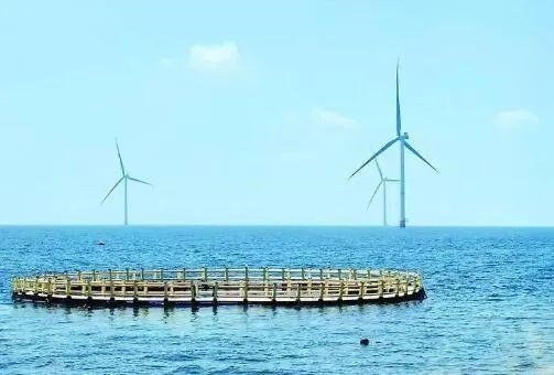 △山東萊州風(fēng)電項(xiàng)目實(shí)現(xiàn)了海上風(fēng)電和海洋牧場(chǎng)融合發(fā)展。