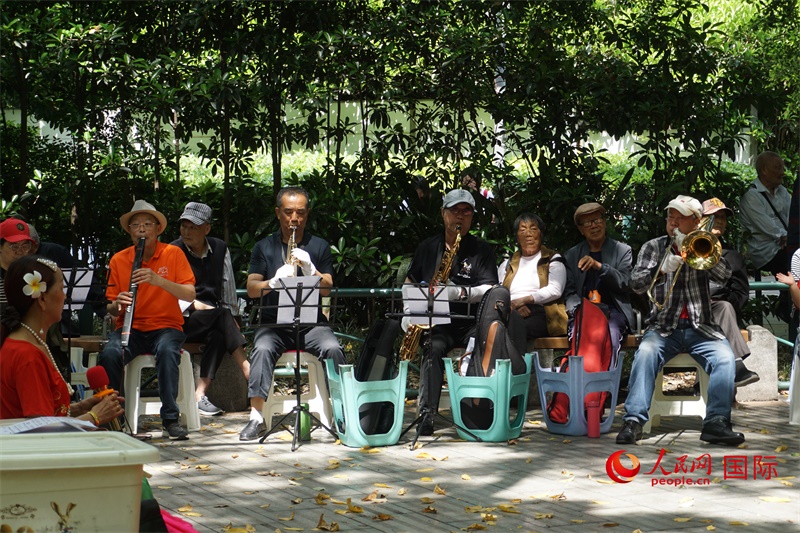 成都居民在公園里演奏歌曲。人民網(wǎng) 王禹蘅攝