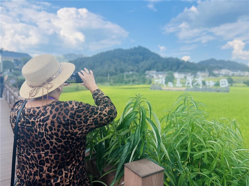 “我在花茂有塊田”，不僅是中國(guó)人的詩(shī)和遠(yuǎn)方，也是塔吉克斯坦“阿維斯塔”通訊社總編輯占納特洪·庫(kù)爾班諾娃的“烏托邦”。（張亞欣攝）