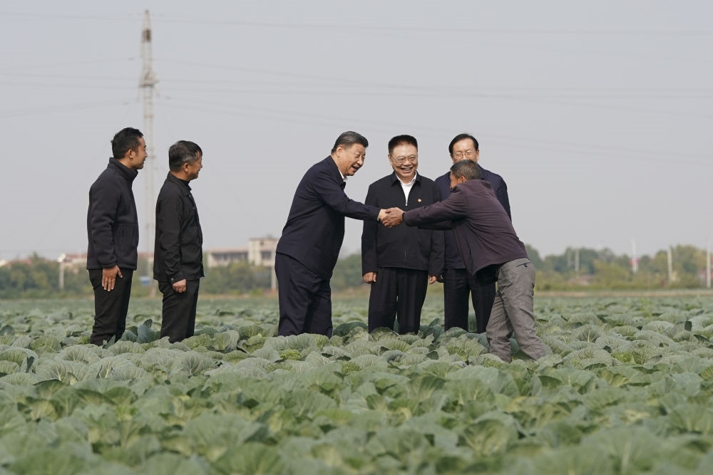 2024年11月5日，習(xí)近平在咸寧市嘉魚縣潘家灣鎮(zhèn)十里蔬菜長廊考察時，同菜農(nóng)親切交流。