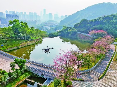 無人機(jī)在深圳塘朗山郊野公園里巡檢。新華社發(fā)