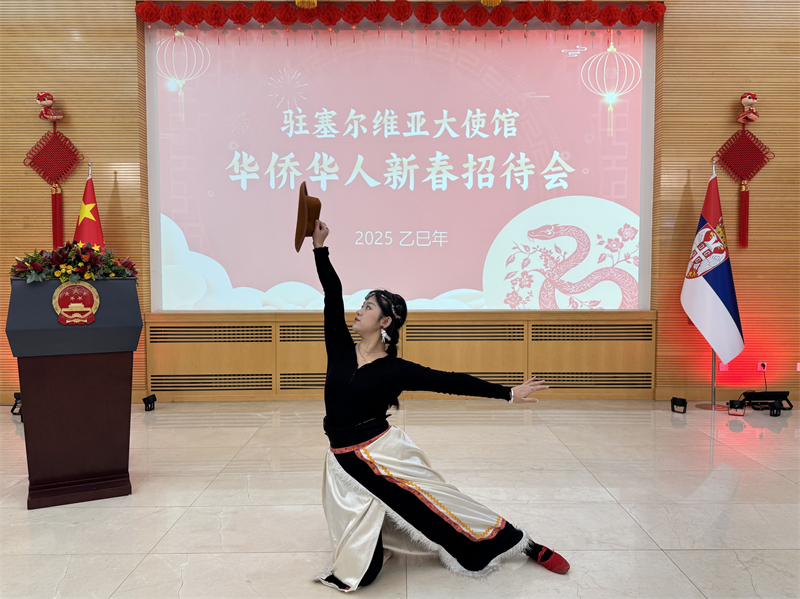 招待會(huì)現(xiàn)場(chǎng)表演。諾維薩德孔子學(xué)院供圖