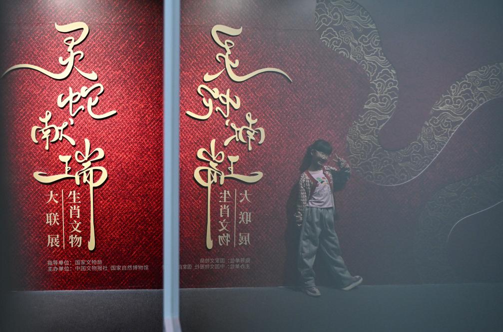 1月18日，一名小朋友在國家自然博物館舉辦的“靈蛇獻瑞——2025乙巳蛇年生肖文物大聯(lián)展”展覽中拍照留念。（新華社記者 陳鐘昊 攝）