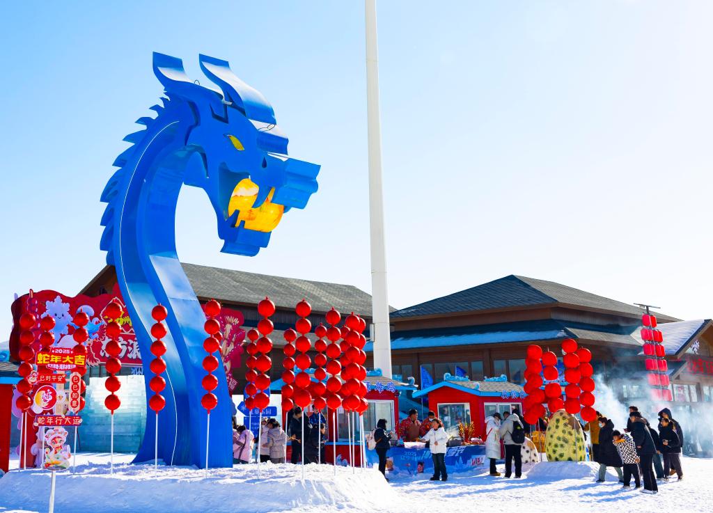 2025年1月，游客在遼寧錦州東方華地城海洋冰雪王國內(nèi)游覽。新華社發(fā)