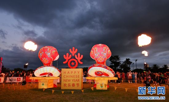 圖為游客在2025年奧克蘭元宵燈節(jié)游覽。（圖片由奧克蘭中國文化中心提供）