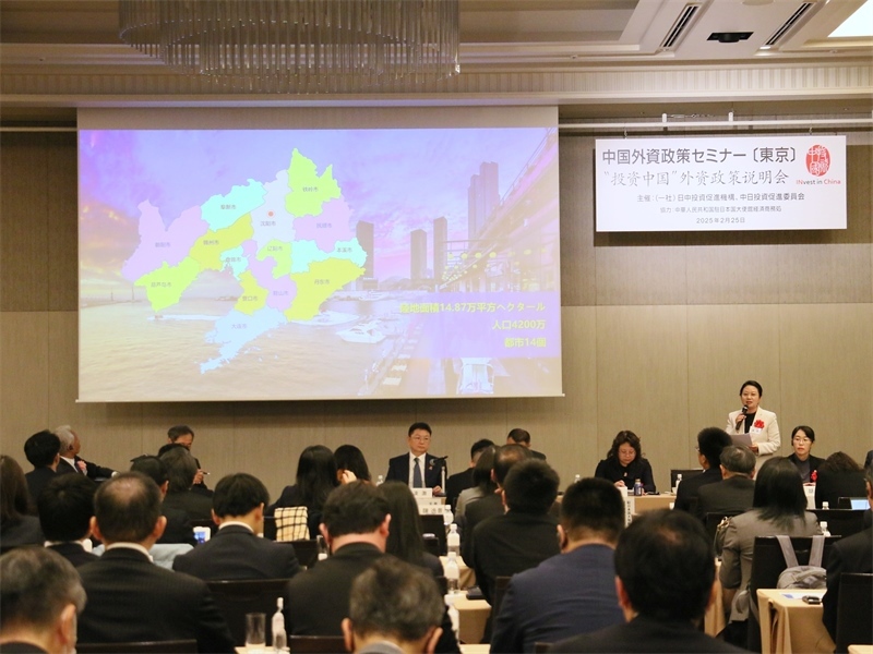 地方代表進行專題投資推介。人民網(wǎng) 許可攝