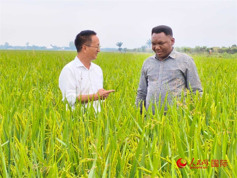 專家組組長楊華德在與農(nóng)民學(xué)員交流。人民網(wǎng)記者黃培昭攝