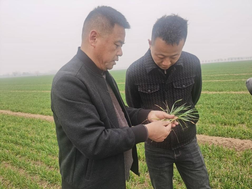 在山東濟寧汶上縣苑莊鎮(zhèn)，農技員黃海龍對種糧大戶王振現場進行春耕指導。人民網記者 車柯蒙攝