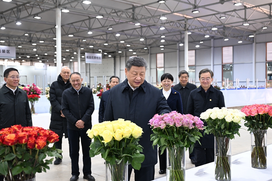 △3月19日下午，習(xí)近平總書記在云南麗江現(xiàn)代花卉產(chǎn)業(yè)園展廳考察時(shí)，察看鮮切花品種展示。