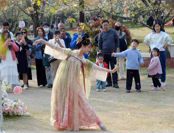 清明假期期間，上海顧村公園櫻花島上，游客在觀賞國風(fēng)漢服快閃表演。（圖片來源：視覺中國）