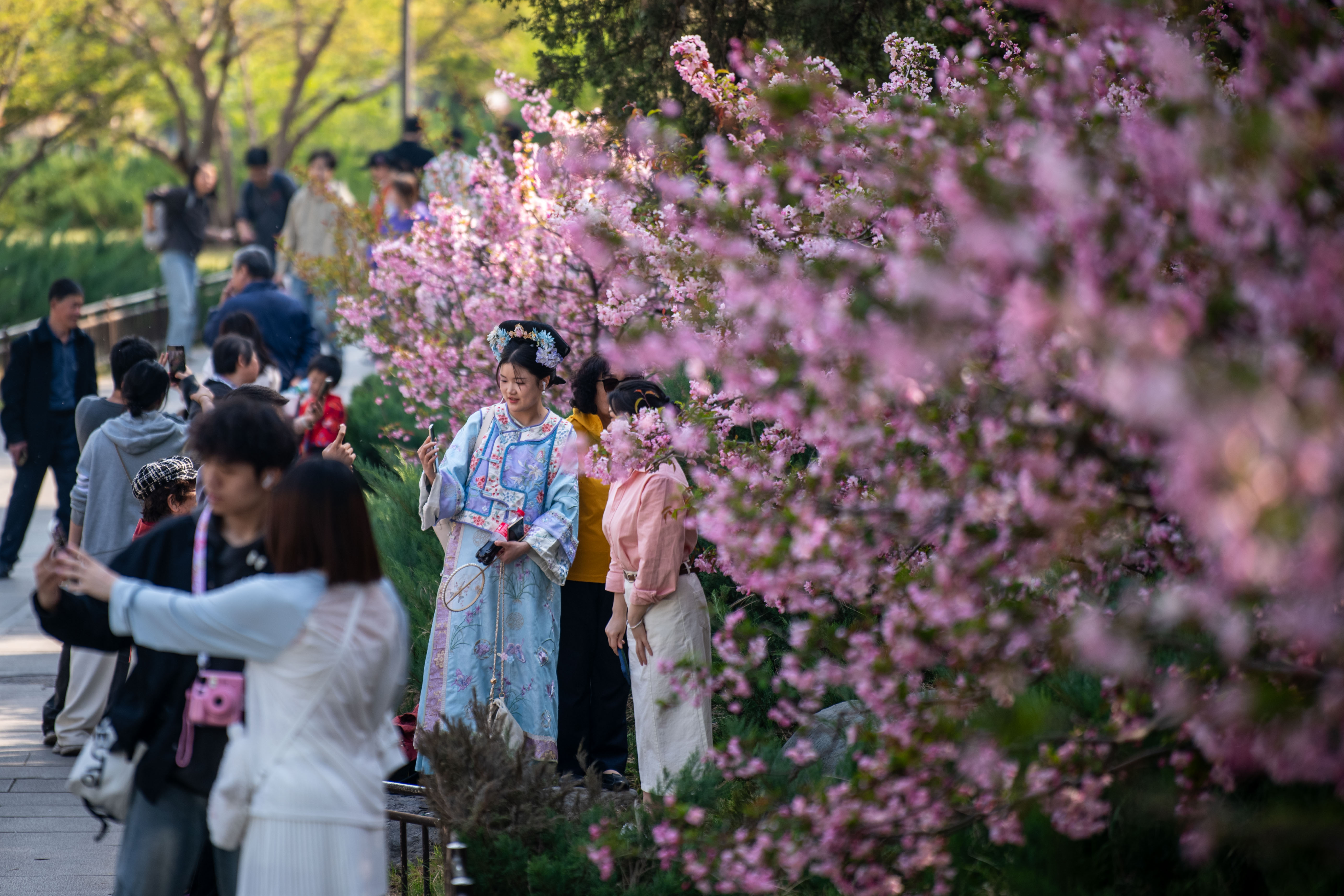 2025年4月6日，北京北海公園，滿園春色醉游人。人民網(wǎng)記者 翁奇羽攝