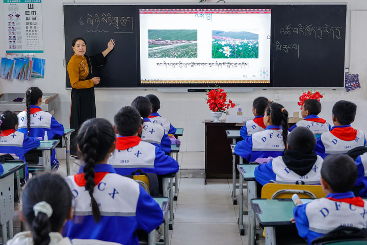 2024年9月27日，在四川省甘孜藏族自治州道孚縣城關(guān)第一完全小學(xué)，采取“藏加模式”教學(xué)的五年級(jí)一班的藏語文課上，準(zhǔn)木周老師指導(dǎo)藏族學(xué)生以家鄉(xiāng)草原風(fēng)物為主題寫作藏語文作文。新華社記者 沈伯韓 攝
